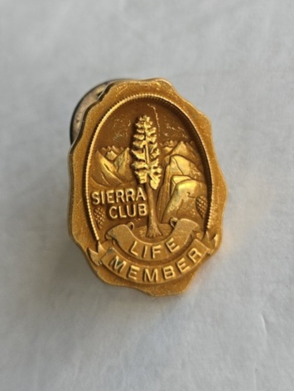 Sierra Club Life Member Lapel Pin Gold Tone Conservation Nature Pinback Vtg